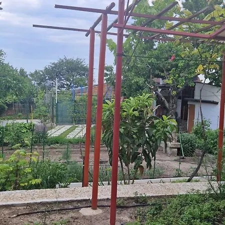 жасмин овчаровски плаж バルチク